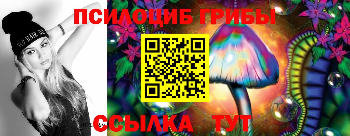 Псилоцибиновые грибы Psilocybine cubensis Алейск