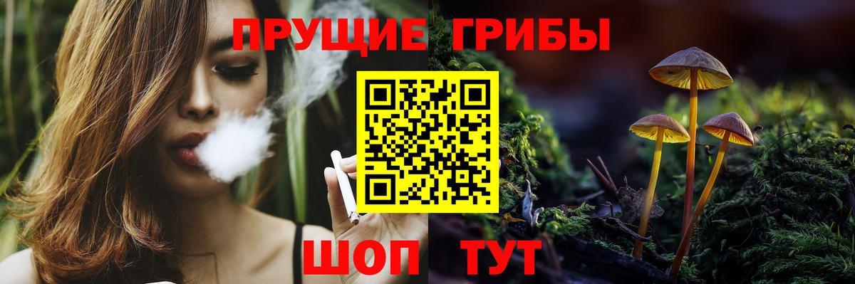 Алейск  Галлюциногенные грибы Magic Shrooms  Вход с VPN  Псилоцибиновые грибы Psilocybe 
